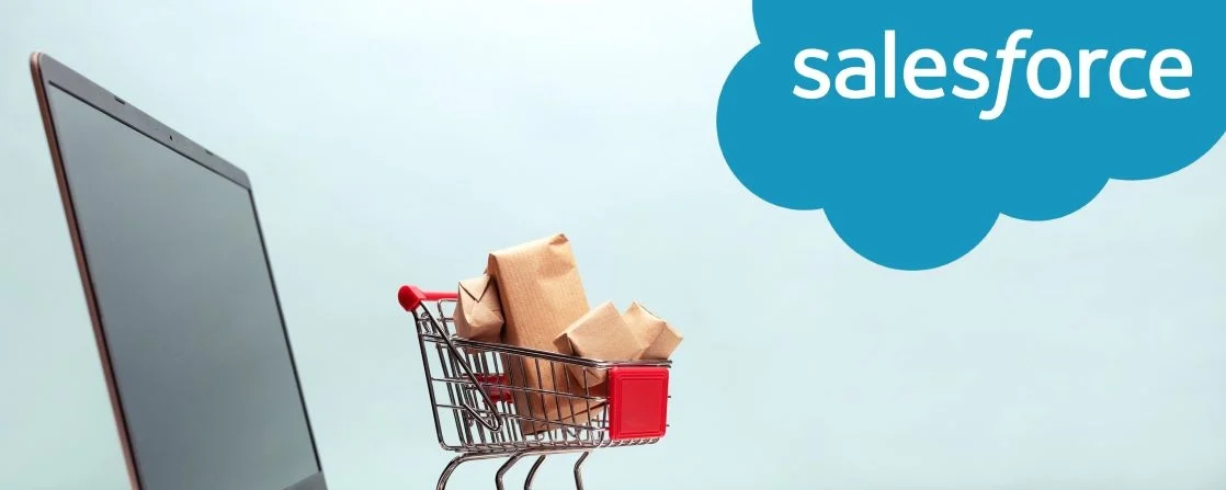 Everything Ecommerce Businesses Can Do with Salesforce Commerce Cloud 
